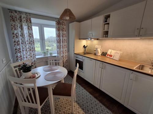 Kuchyň nebo kuchyňský kout v ubytování Tammiku apartment