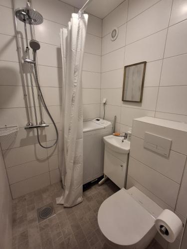 a bathroom with a shower and a toilet and a sink at Tammiku apartment in Kunda