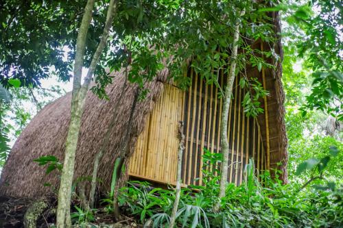 a tree house built into a tree trunk at Casa Lorette in Martínez