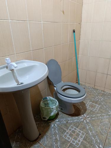 a bathroom with a toilet and a sink and a mop at Rancho Felicia y Moisés in Piribebuy