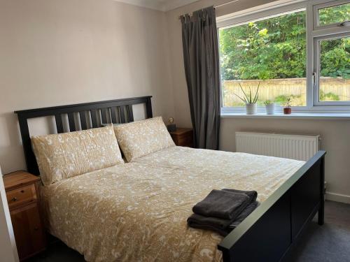 Un dormitorio con una cama y una ventana en Bungalow on Dartmoor's Edge, Parking & Garden, en Ashburton