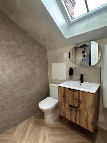 a bathroom with a toilet and a sink and a skylight at Maison Coursarlon in Bourges