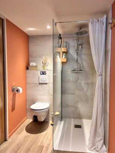 a bathroom with a toilet and a shower at Gîte L'Écureuil - Sauna & Bain Nordique - Nature in Colroy-la-Roche