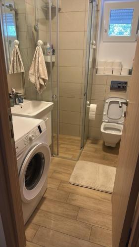 uma casa de banho com uma máquina de lavar roupa e um WC em Apartment TACA em Kravlja