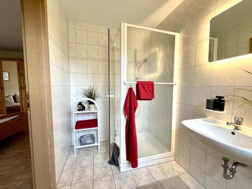 a bathroom with a shower and a sink at BAUERNHAUS KRULL App 03 in Althagen