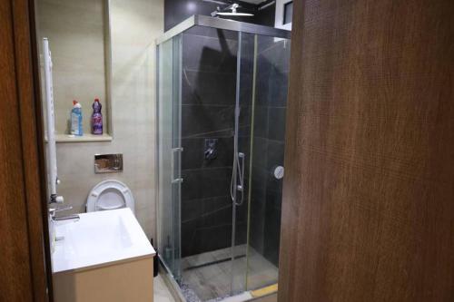 une salle de bain avec une douche avec des toilettes et un lavabo dans l'établissement Appartement calme et luxueux, à Hydra