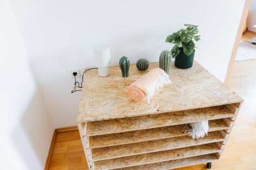 a wooden table with cactuses on top of it at raum life - Ferienwohnung Straubing #1 in Straubing