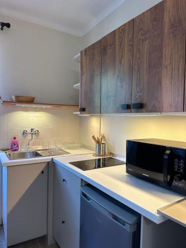 een keuken met een spoelbak en een magnetron bij Studio Le Clocher in Saint-Étienne-de-Tinée