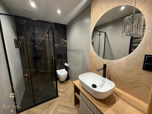 ビストシツァ・クウォツカにあるApartamenty For Youの洗面台、シャワー、鏡を備えたバスルーム