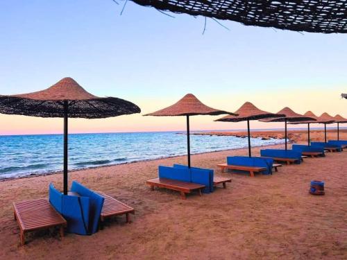 a row of chairs and umbrellas on a beach at cecelia resort in Hurghada