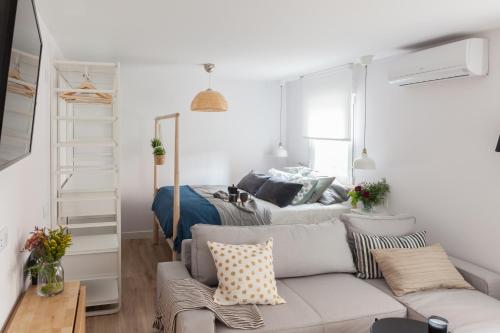Charming Madrid lofts