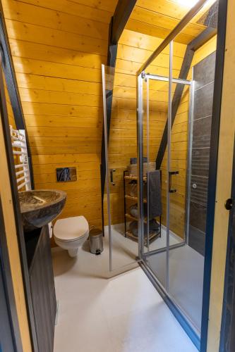 a bathroom with a shower and a toilet at Kuszlik in Pomáz