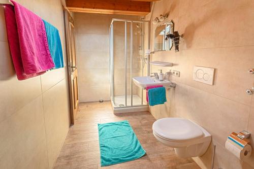 een badkamer met toilet, wastafel en douche bij Bauernhof Daurerhof Ferienwohnung in Aschau im Chiemgau