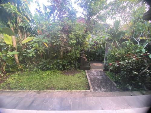 Zahrada ubytování Moning house