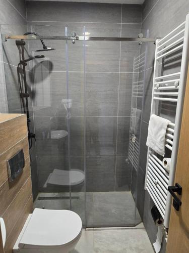 a bathroom with a glass shower with a toilet at Janjska Kuća in Šipovo