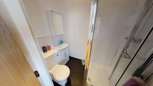 a small bathroom with a toilet and a shower at Comfortable Studio in City Centre Nottingham in Nottingham