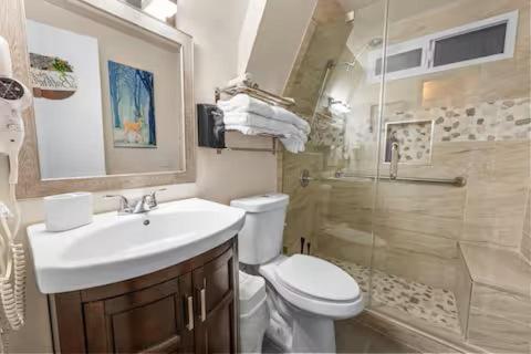 ein Badezimmer mit Toilette, Waschbecken und Dusche in der Unterkunft La Kabanita in Rimforest