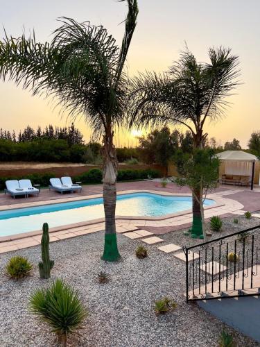 einen Pool mit zwei Palmen im Hof in der Unterkunft Villa Sara in Marrakesch
