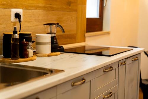 a kitchen counter with a sink and a mixer at Da Mario - Mondo Antico experience in Cerveteri
