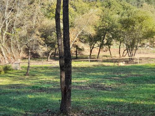 Φωτογραφία από το άλμπουμ του Quinta da Bolota σε Alvaiázere