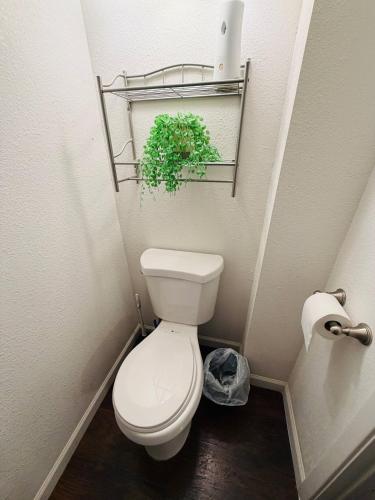a small bathroom with a toilet and a plant at Desert Dwelling Resort Near Papago Park in Phoenix