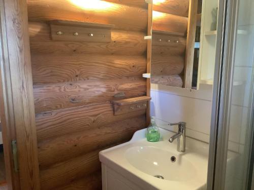 een badkamer met een wastafel en een spiegel bij Blockhaus in Burhave in Hoddersdeich