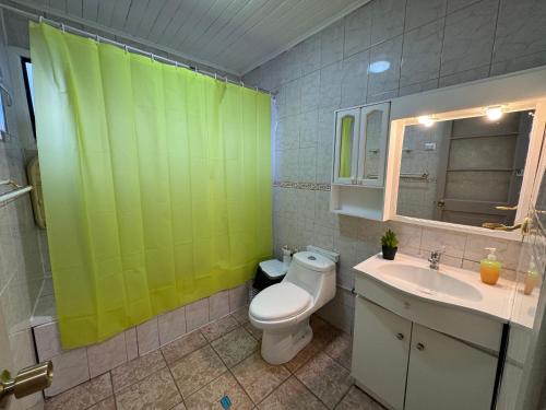 a bathroom with a toilet and a green shower curtain at Hostal Raizén in Temuco