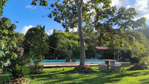 a park with a tree and a swimming pool at CASA HOTEL FIBA MAGUEZA in San Francisco