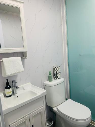 a bathroom with a white toilet and a sink at The Burrows Off Grid Cabin, Unplug, Relax & Unwind in Wollombi