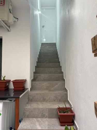 ミンデロにあるCastro APのギャラリーの写真