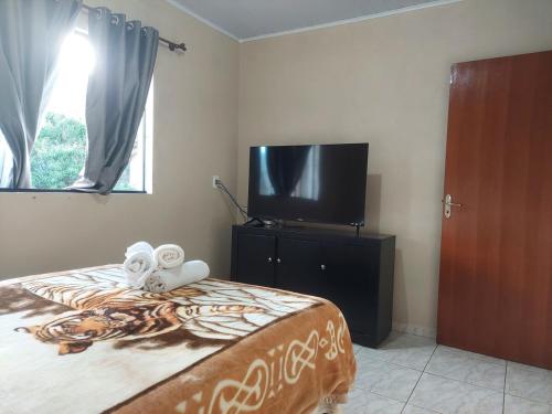 ein Schlafzimmer mit einem Bett und einem Flachbildfernseher in der Unterkunft My Espacinho in São Bento in São Bento do Sul