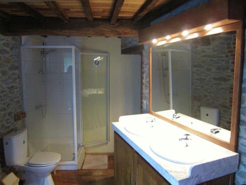 a bathroom with a sink and a shower and a toilet at Riverside Retreat Viroinval in Treignes