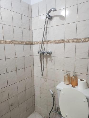 a shower in a tiled bathroom with a toilet at la pipi in Las Heras