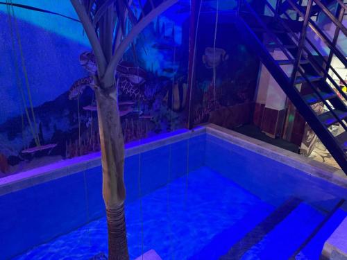 Der Swimmingpool an oder in der Nähe von Hotel Coralite Suites Lions