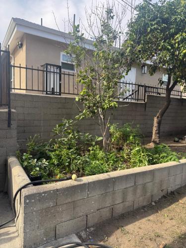 Κήπος έξω από το The Wilton Hideaway