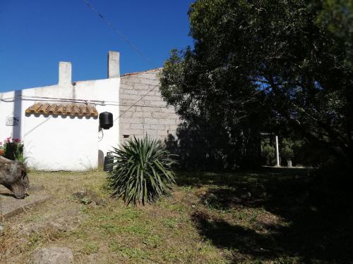 Κήπος έξω από το Ferienhaus Stazzo Mit Garten In Luogosanto