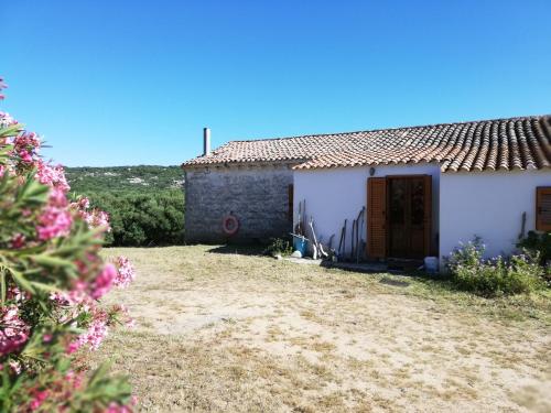 a small white house with a yard and flowers at Ferienhaus Stazzo Mit Garten In Luogosanto in Luogosanto