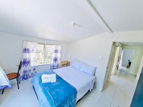 ein weißes Schlafzimmer mit einem Bett und einem Fenster in der Unterkunft Nuku'alofa Town Cottage - Private Double Room in Nuku‘alofa