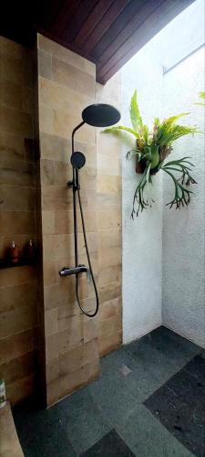 a room with a plant on a wall with a lamp at La Reina villa in Ubud