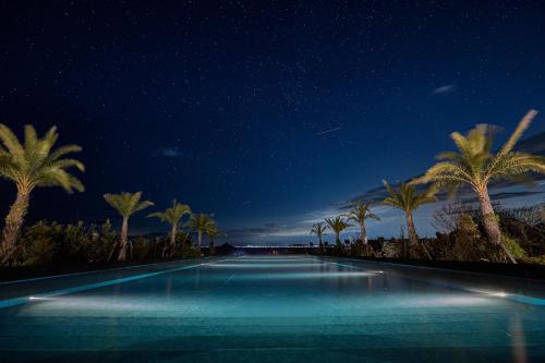 a night view of a swimming pool with palm trees at BOTANICAL POOL CLUB in Kyonan