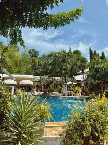 a swimming pool in a resort with palm trees at Deep Forest Garden Hotel in Puerto Princesa City