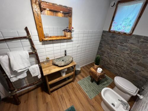 a bathroom with a sink and a toilet and a mirror at Apartment surrounded by the peace of nature in Torgnon