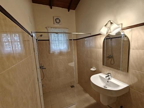 a bathroom with a shower and a sink at Watawala Tea Garden in Rozella