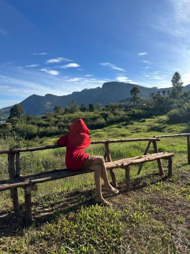 Příroda nedaleko apartmánu