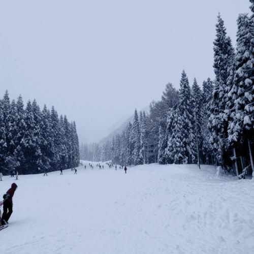 a group of people skiing down a snow covered slope at 47 - Snow Village Cozy Lodge Yuzawa in Yuzawa