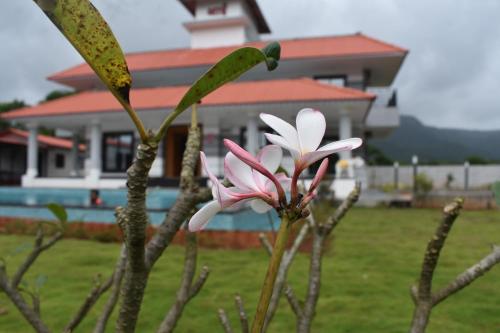 Imagen de la galería de Nakhwas Farm, 