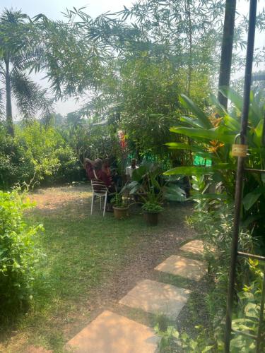 Κήπος έξω από το The Peace Hostel