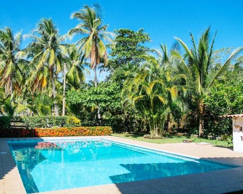 Bazén v ubytování Totobe Resort nebo v jeho okolí