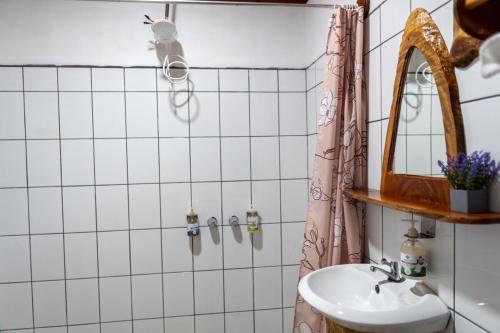 a bathroom with a sink and a mirror at Cabina vista al valle Monteverde in Monteverde Costa Rica
