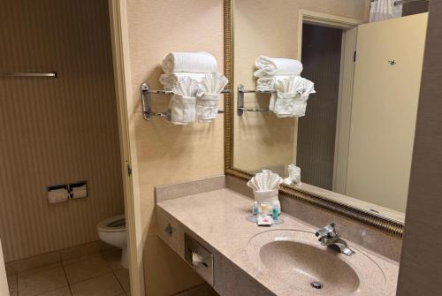 Ένα μπάνιο στο Wingate by Wyndham Livonia